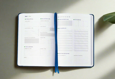 PicklePro Planner – Your 90-Day Roadmap to Success