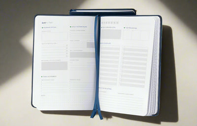 PicklePro Planner – Your 90-Day Roadmap to Success